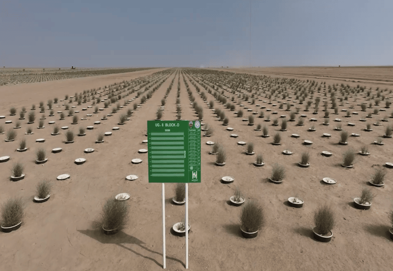 015a71ff-d373-40b8-82de-ed29b38e9102