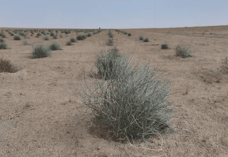 021f888a-ef1e-4a27-a5f0-253f30bc4b2e