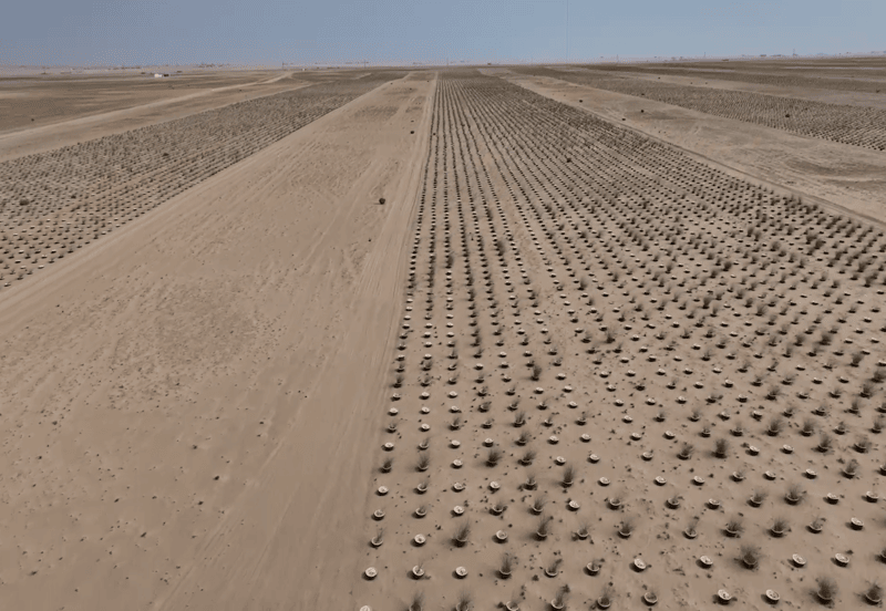 2cdc09ae-61e7-419f-9a36-d45fed6824fc