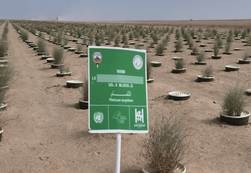 6365eb05-6564-479b-a511-a3f7dd0c15d2