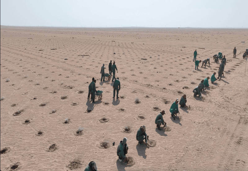 c3ee956d-5b39-4ed7-a0c2-ce2d25ba281b