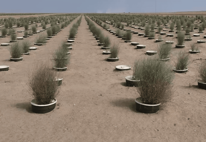 dc2e4ea6-ed85-467c-a4a1-b0bdcf6316b8