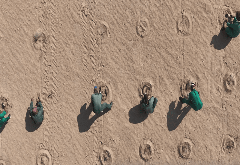 e034da79-aafb-4449-848c-fd9b3e8a7e9c