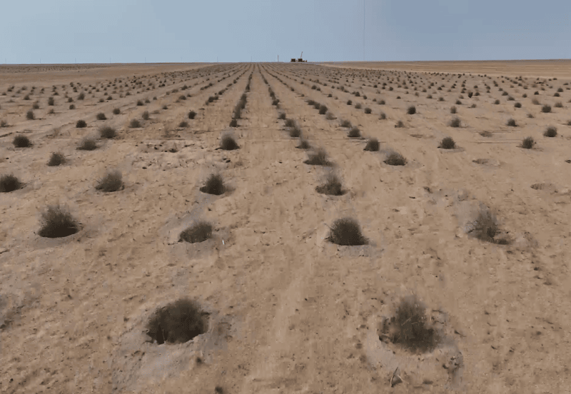 ea904872-ae52-41ea-ad3f-12c86dec9329