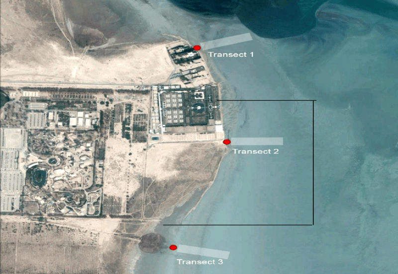 f2bc4c25-a975-47f3-ade2-f5ce6710103e